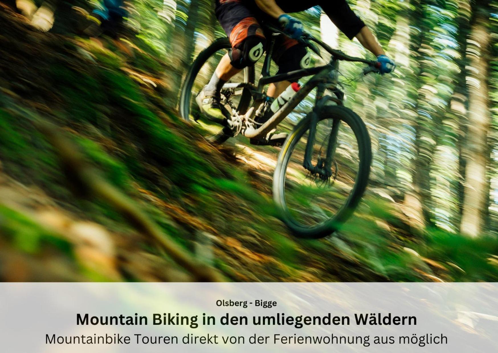 Ferienwohnungen Sauerland Und Olsberg Exterior foto