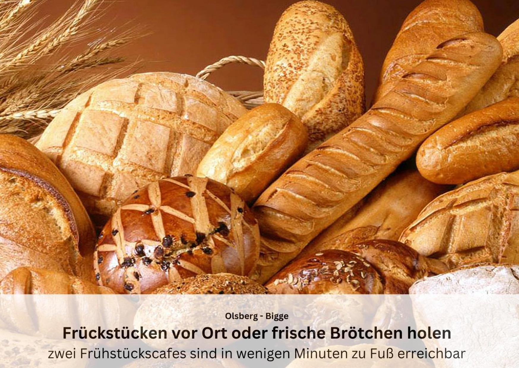 Ferienwohnungen Sauerland Und Olsberg Exterior foto