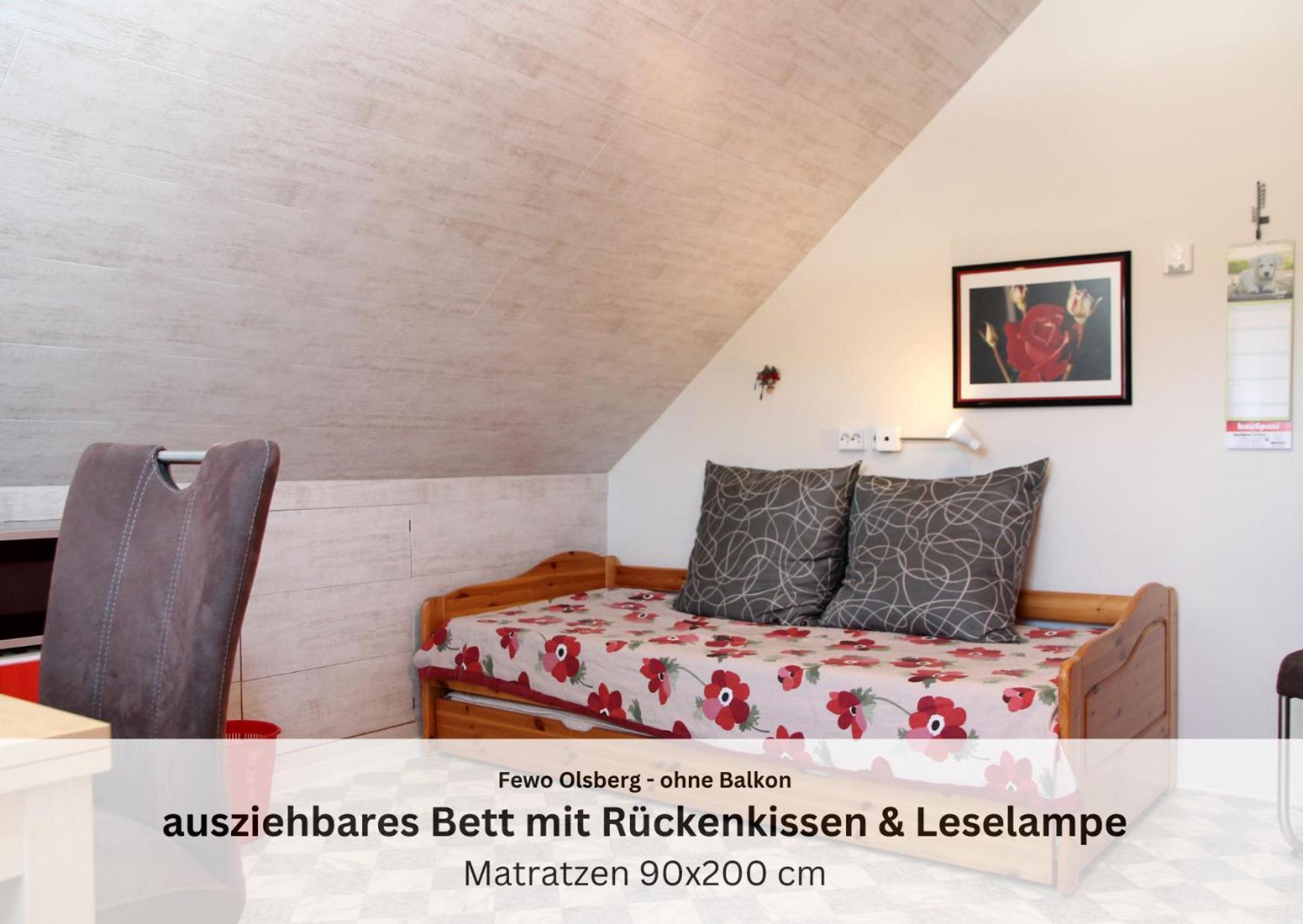 Ferienwohnungen Sauerland Und Olsberg Exterior foto