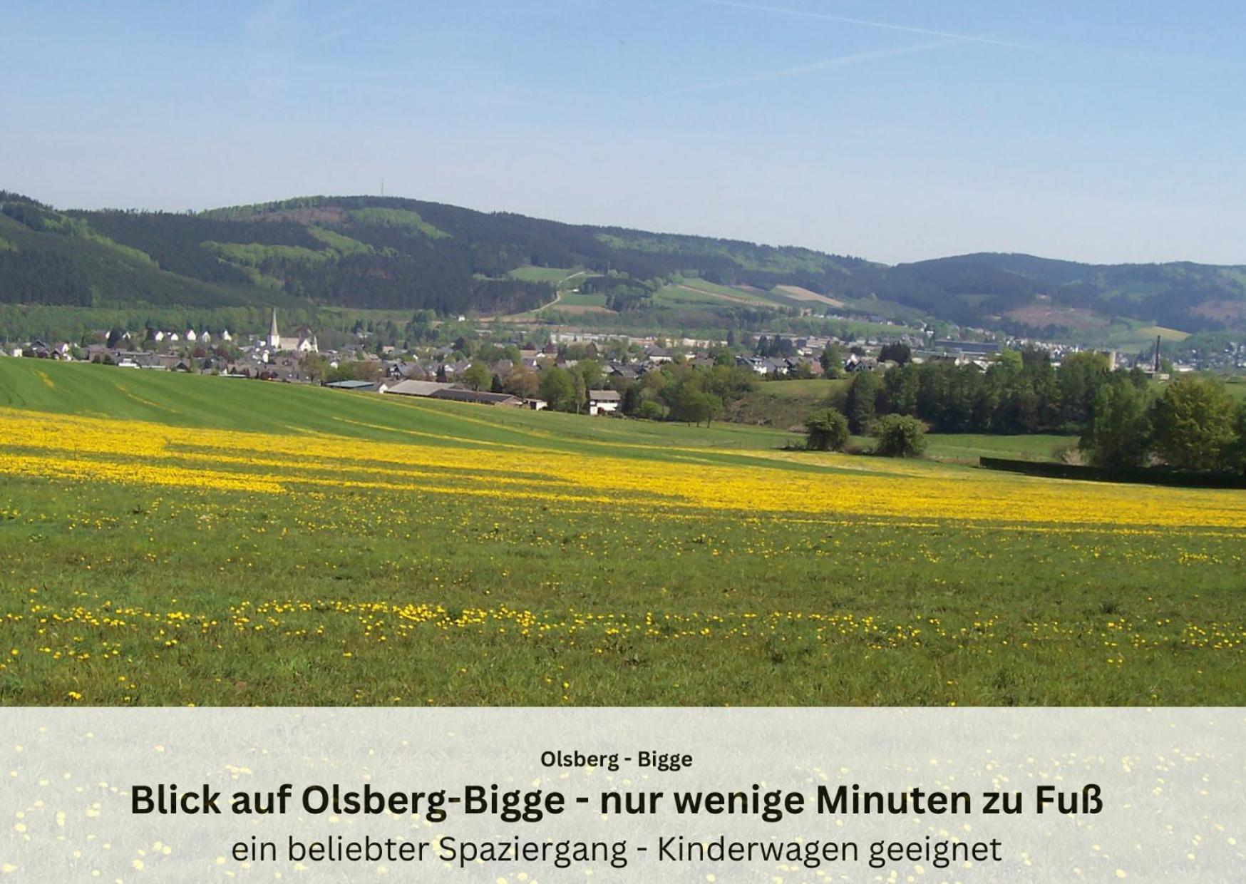 Ferienwohnungen Sauerland Und Olsberg Exterior foto