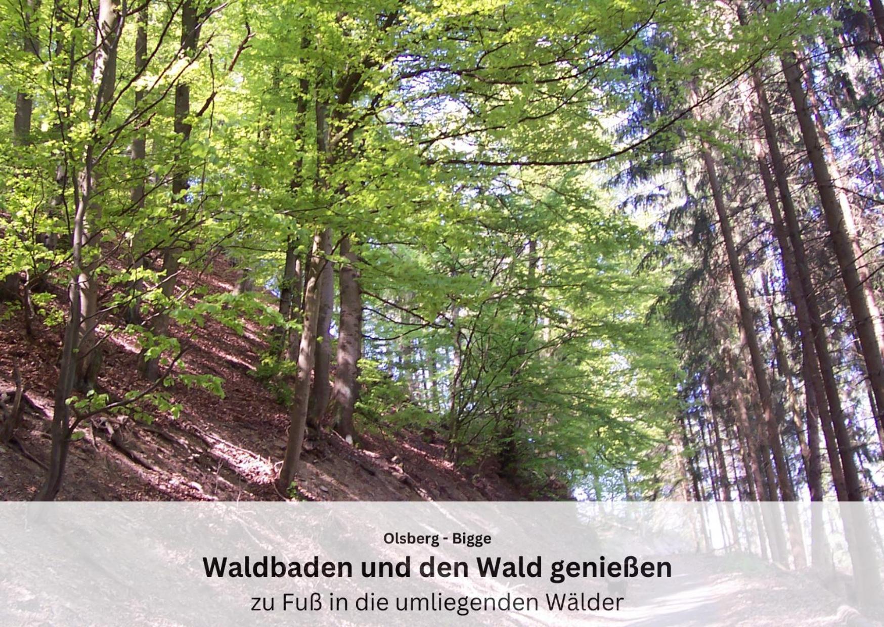 Ferienwohnungen Sauerland Und Olsberg Exterior foto